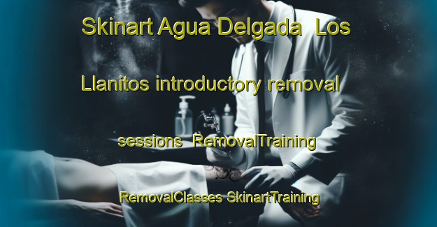 Skinart Agua Delgada  Los Llanitos introductory removal sessions | #RemovalTraining #RemovalClasses #SkinartTraining-Mexico