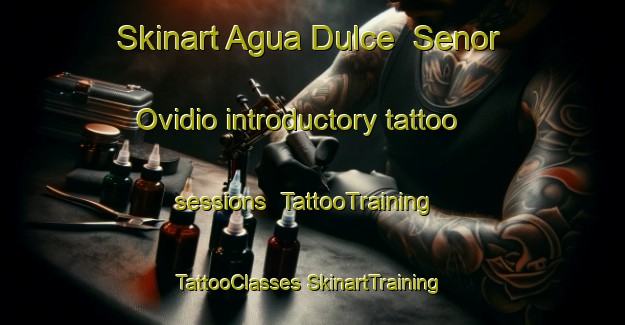 Skinart Agua Dulce  Senor Ovidio introductory tattoo sessions | #TattooTraining #TattooClasses #SkinartTraining-Mexico