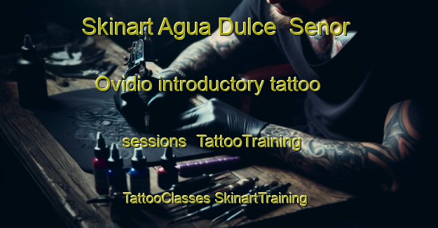 Skinart Agua Dulce  Senor Ovidio introductory tattoo sessions | #TattooTraining #TattooClasses #SkinartTraining-Mexico