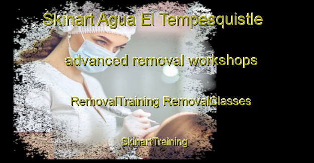 Skinart Agua El Tempesquistle advanced removal workshops | #RemovalTraining #RemovalClasses #SkinartTraining-Mexico