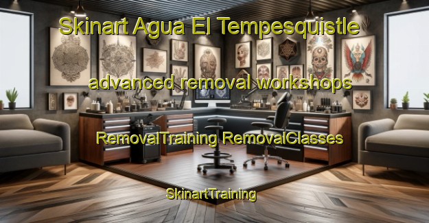 Skinart Agua El Tempesquistle advanced removal workshops | #RemovalTraining #RemovalClasses #SkinartTraining-Mexico