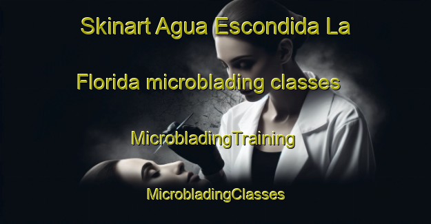 Skinart Agua Escondida La Florida microblading classes | #MicrobladingTraining #MicrobladingClasses #SkinartTraining-Mexico