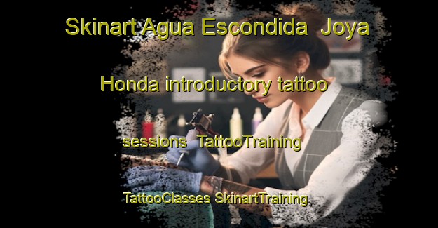 Skinart Agua Escondida  Joya Honda introductory tattoo sessions | #TattooTraining #TattooClasses #SkinartTraining-Mexico