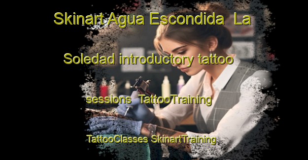 Skinart Agua Escondida  La Soledad introductory tattoo sessions | #TattooTraining #TattooClasses #SkinartTraining-Mexico