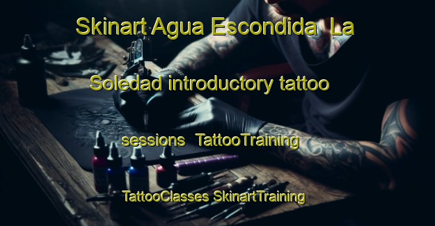 Skinart Agua Escondida  La Soledad introductory tattoo sessions | #TattooTraining #TattooClasses #SkinartTraining-Mexico