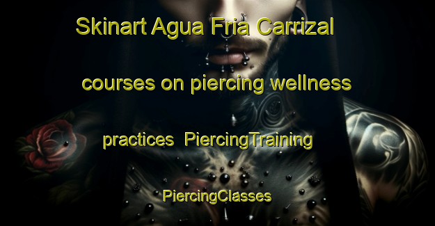 Skinart Agua Fria Carrizal courses on piercing wellness practices | #PiercingTraining #PiercingClasses #SkinartTraining-Mexico