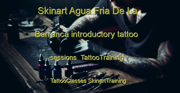 Skinart Agua Fria De La Barranca introductory tattoo sessions | #TattooTraining #TattooClasses #SkinartTraining-Mexico