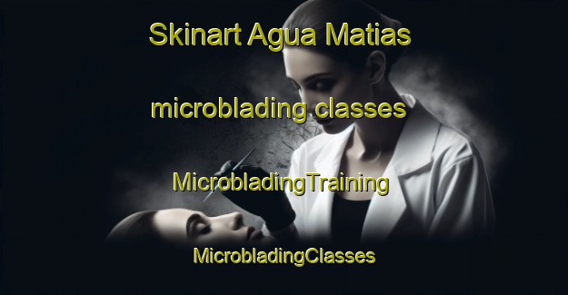 Skinart Agua Matias microblading classes | #MicrobladingTraining #MicrobladingClasses #SkinartTraining-Mexico