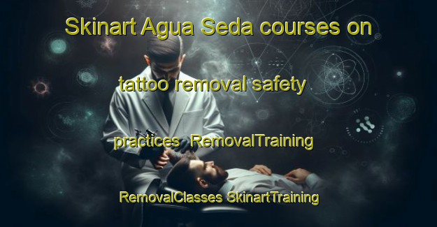 Skinart Agua Seda courses on tattoo removal safety practices | #RemovalTraining #RemovalClasses #SkinartTraining-Mexico