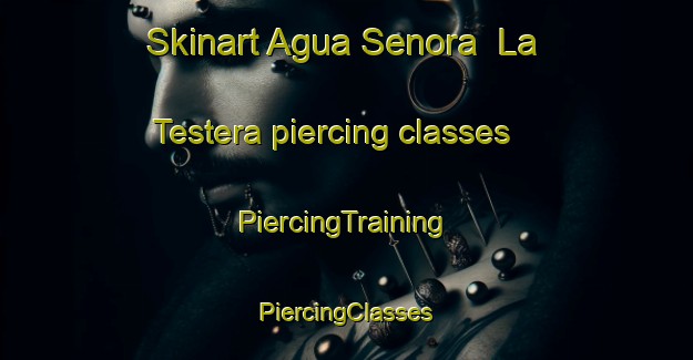 Skinart Agua Senora  La Testera piercing classes | #PiercingTraining #PiercingClasses #SkinartTraining-Mexico