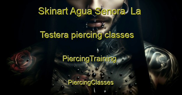 Skinart Agua Senora  La Testera piercing classes | #PiercingTraining #PiercingClasses #SkinartTraining-Mexico