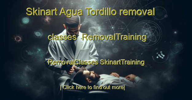 Skinart Agua Tordillo removal classes | #RemovalTraining #RemovalClasses #SkinartTraining-Mexico