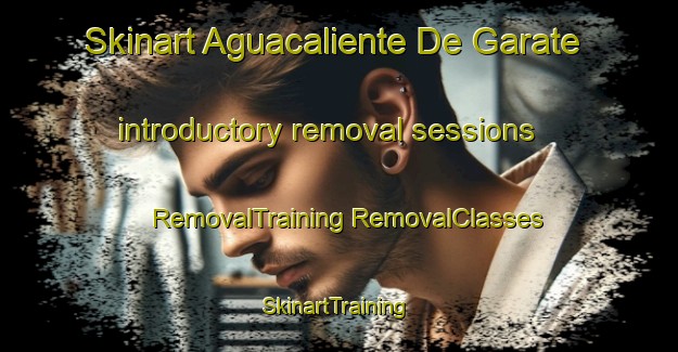 Skinart Aguacaliente De Garate introductory removal sessions | #RemovalTraining #RemovalClasses #SkinartTraining-Mexico