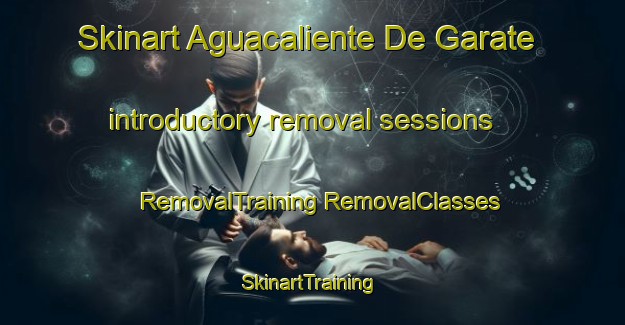 Skinart Aguacaliente De Garate introductory removal sessions | #RemovalTraining #RemovalClasses #SkinartTraining-Mexico