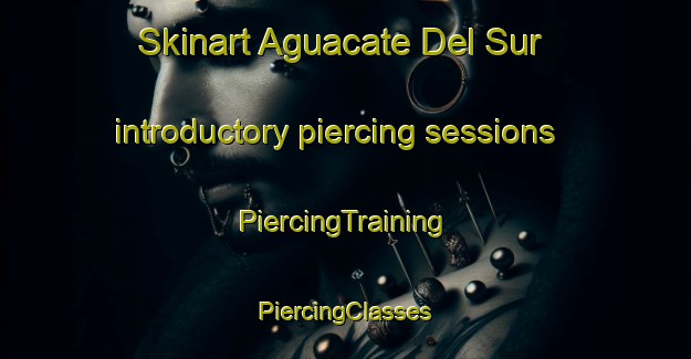 Skinart Aguacate Del Sur introductory piercing sessions | #PiercingTraining #PiercingClasses #SkinartTraining-Mexico