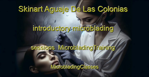 Skinart Aguaje De Las Colonias introductory microblading sessions | #MicrobladingTraining #MicrobladingClasses #SkinartTraining-Mexico