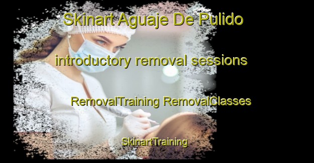 Skinart Aguaje De Pulido introductory removal sessions | #RemovalTraining #RemovalClasses #SkinartTraining-Mexico