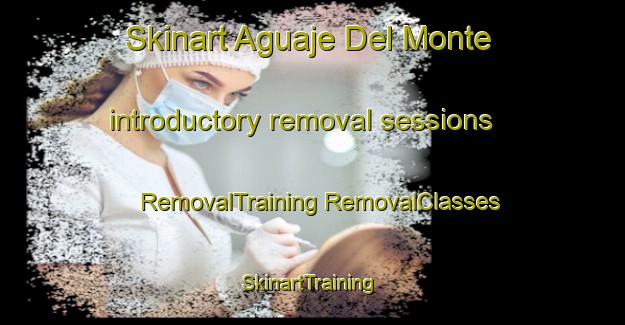 Skinart Aguaje Del Monte introductory removal sessions | #RemovalTraining #RemovalClasses #SkinartTraining-Mexico