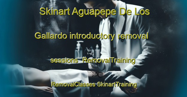 Skinart Aguapepe De Los Gallardo introductory removal sessions | #RemovalTraining #RemovalClasses #SkinartTraining-Mexico