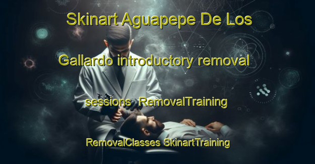 Skinart Aguapepe De Los Gallardo introductory removal sessions | #RemovalTraining #RemovalClasses #SkinartTraining-Mexico