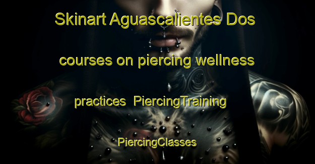 Skinart Aguascalientes Dos courses on piercing wellness practices | #PiercingTraining #PiercingClasses #SkinartTraining-Mexico