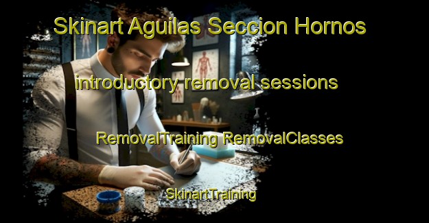 Skinart Aguilas Seccion Hornos introductory removal sessions | #RemovalTraining #RemovalClasses #SkinartTraining-Mexico