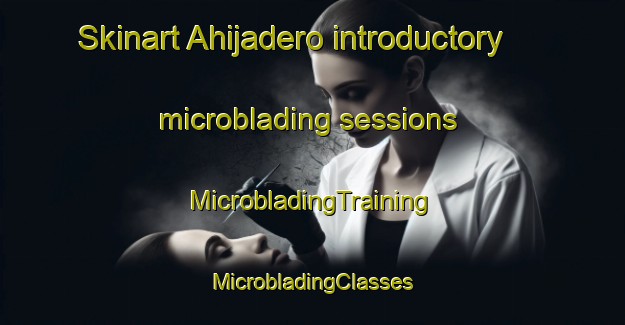 Skinart Ahijadero introductory microblading sessions | #MicrobladingTraining #MicrobladingClasses #SkinartTraining-Mexico