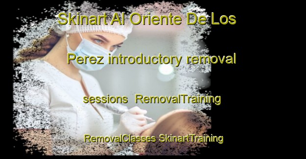 Skinart Al Oriente De Los Perez introductory removal sessions | #RemovalTraining #RemovalClasses #SkinartTraining-Mexico