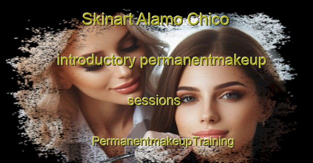 Skinart Alamo Chico introductory permanentmakeup sessions | #PermanentmakeupTraining #PermanentmakeupClasses #SkinartTraining-Mexico