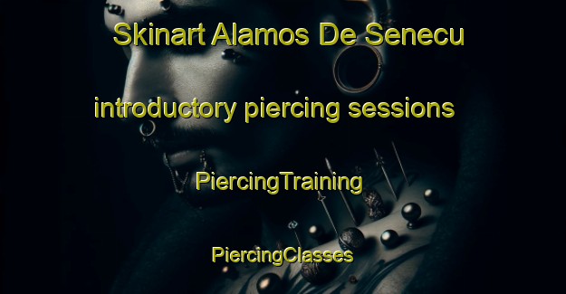 Skinart Alamos De Senecu introductory piercing sessions | #PiercingTraining #PiercingClasses #SkinartTraining-Mexico