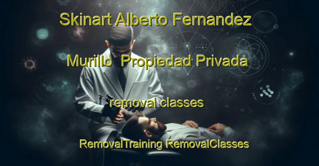 Skinart Alberto Fernandez Murillo  Propiedad Privada removal classes | #RemovalTraining #RemovalClasses #SkinartTraining-Mexico