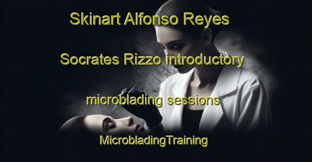 Skinart Alfonso Reyes  Socrates Rizzo introductory microblading sessions | #MicrobladingTraining #MicrobladingClasses #SkinartTraining-Mexico