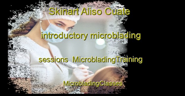 Skinart Aliso Cuate introductory microblading sessions | #MicrobladingTraining #MicrobladingClasses #SkinartTraining-Mexico