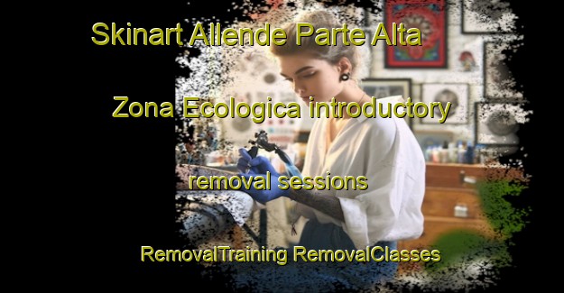 Skinart Allende Parte Alta  Zona Ecologica introductory removal sessions | #RemovalTraining #RemovalClasses #SkinartTraining-Mexico