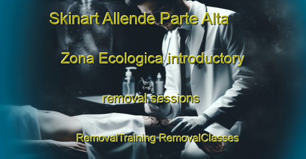 Skinart Allende Parte Alta  Zona Ecologica introductory removal sessions | #RemovalTraining #RemovalClasses #SkinartTraining-Mexico