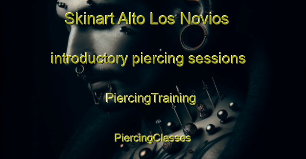 Skinart Alto Los Novios introductory piercing sessions | #PiercingTraining #PiercingClasses #SkinartTraining-Mexico