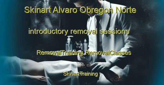 Skinart Alvaro Obregon Norte introductory removal sessions | #RemovalTraining #RemovalClasses #SkinartTraining-Mexico