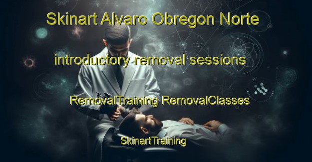 Skinart Alvaro Obregon Norte introductory removal sessions | #RemovalTraining #RemovalClasses #SkinartTraining-Mexico