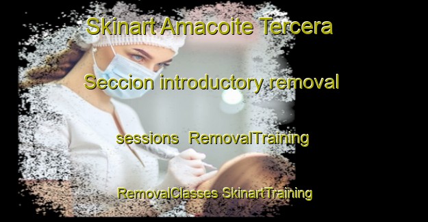 Skinart Amacoite Tercera Seccion introductory removal sessions | #RemovalTraining #RemovalClasses #SkinartTraining-Mexico