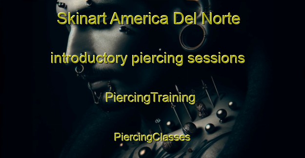 Skinart America Del Norte introductory piercing sessions | #PiercingTraining #PiercingClasses #SkinartTraining-Mexico