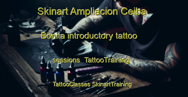 Skinart Ampliacion Ceiba Bonita introductory tattoo sessions | #TattooTraining #TattooClasses #SkinartTraining-Mexico