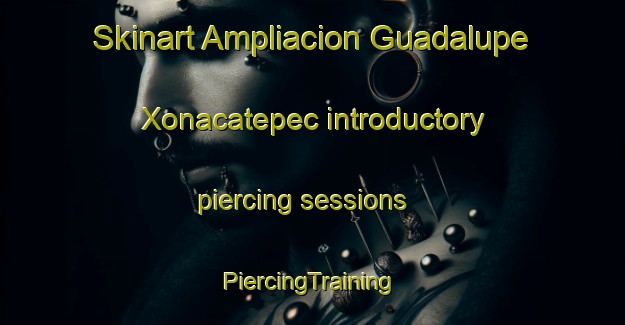 Skinart Ampliacion Guadalupe Xonacatepec introductory piercing sessions | #PiercingTraining #PiercingClasses #SkinartTraining-Mexico