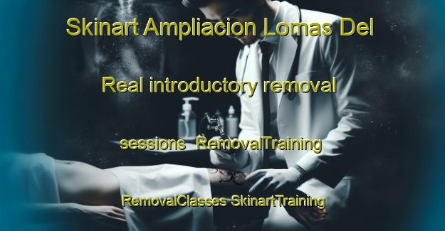 Skinart Ampliacion Lomas Del Real introductory removal sessions | #RemovalTraining #RemovalClasses #SkinartTraining-Mexico