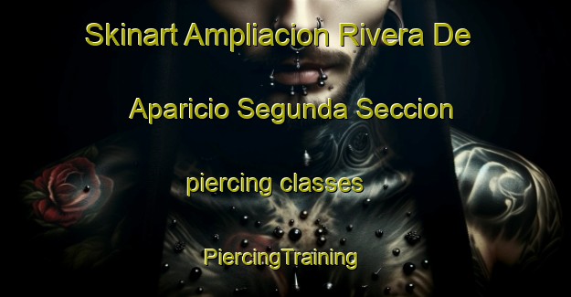 Skinart Ampliacion Rivera De Aparicio Segunda Seccion piercing classes | #PiercingTraining #PiercingClasses #SkinartTraining-Mexico