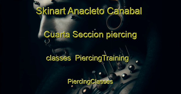 Skinart Anacleto Canabal Cuarta Seccion piercing classes | #PiercingTraining #PiercingClasses #SkinartTraining-Mexico