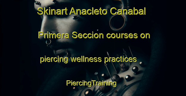 Skinart Anacleto Canabal Primera Seccion courses on piercing wellness practices | #PiercingTraining #PiercingClasses #SkinartTraining-Mexico