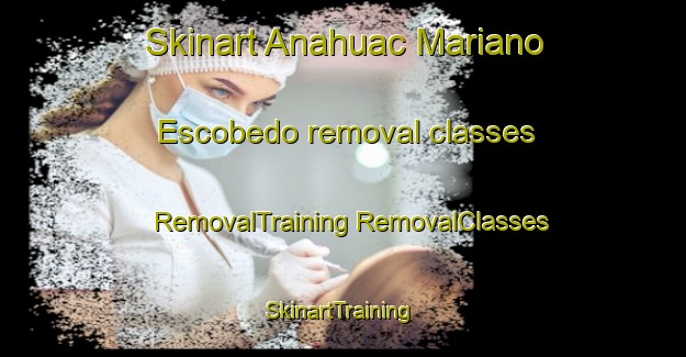 Skinart Anahuac Mariano Escobedo removal classes | #RemovalTraining #RemovalClasses #SkinartTraining-Mexico