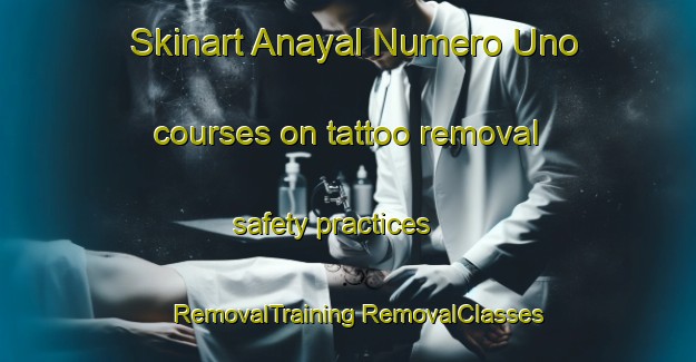 Skinart Anayal Numero Uno courses on tattoo removal safety practices | #RemovalTraining #RemovalClasses #SkinartTraining-Mexico