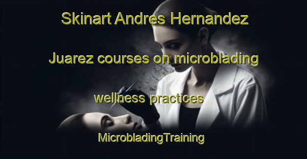 Skinart Andres Hernandez Juarez courses on microblading wellness practices | #MicrobladingTraining #MicrobladingClasses #SkinartTraining-Mexico