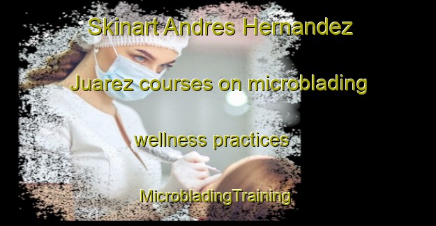 Skinart Andres Hernandez Juarez courses on microblading wellness practices | #MicrobladingTraining #MicrobladingClasses #SkinartTraining-Mexico